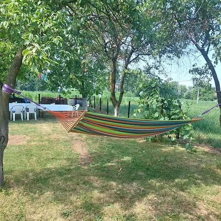 Stan Na Dan-rodjendan Apartman